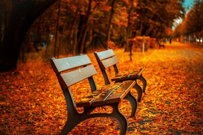 Autumn seats